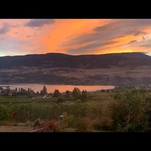 Meet your Posher, Chelsey